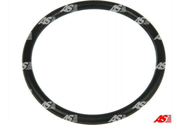 AS-PL O-RINGI ALTERNATORA