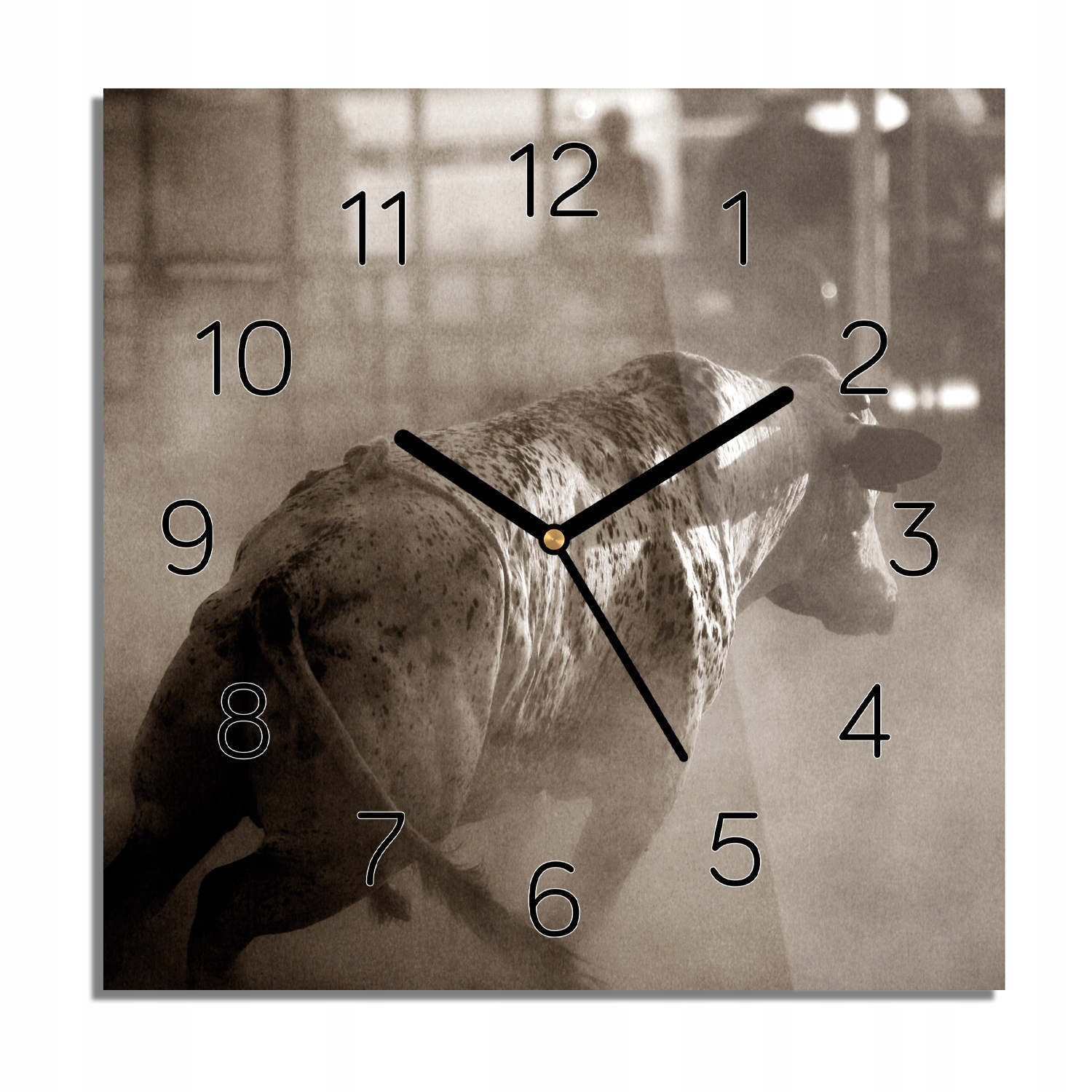

Byk rodeo foto-zegar z grafiką 30x30 do sypialni