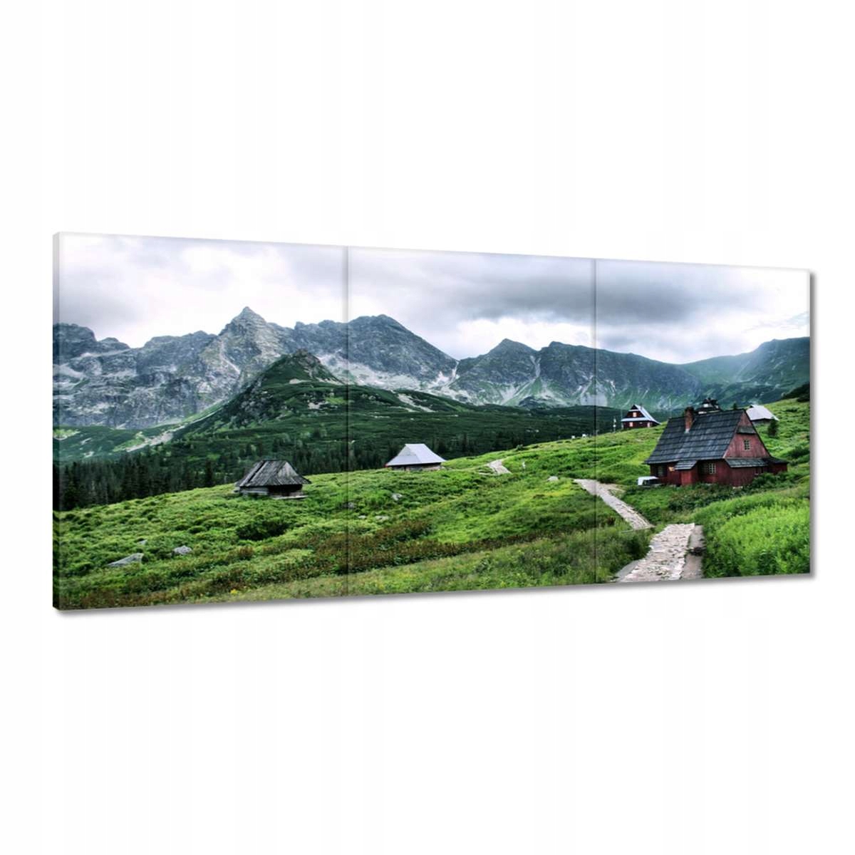 Obrazy 210x100 Tatry Hala Gąsienicowa