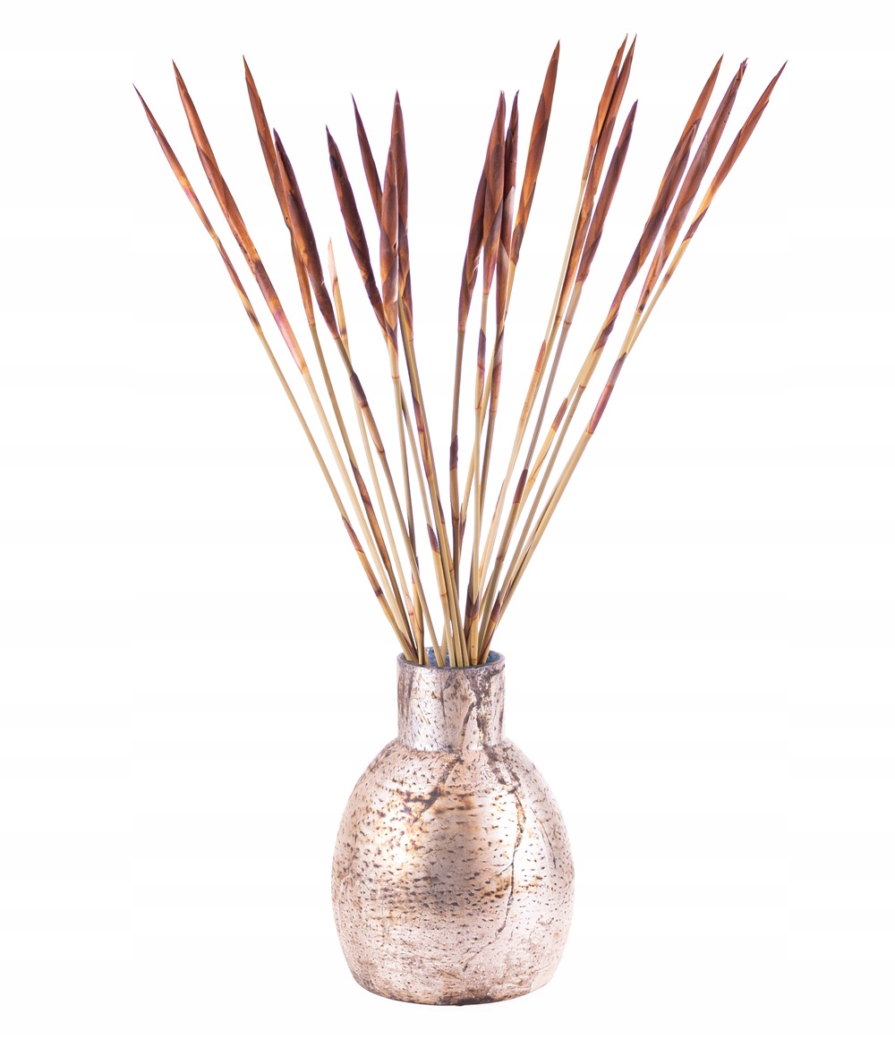 

Arrow red naturalny dekor 20 sztuk do kompozycji