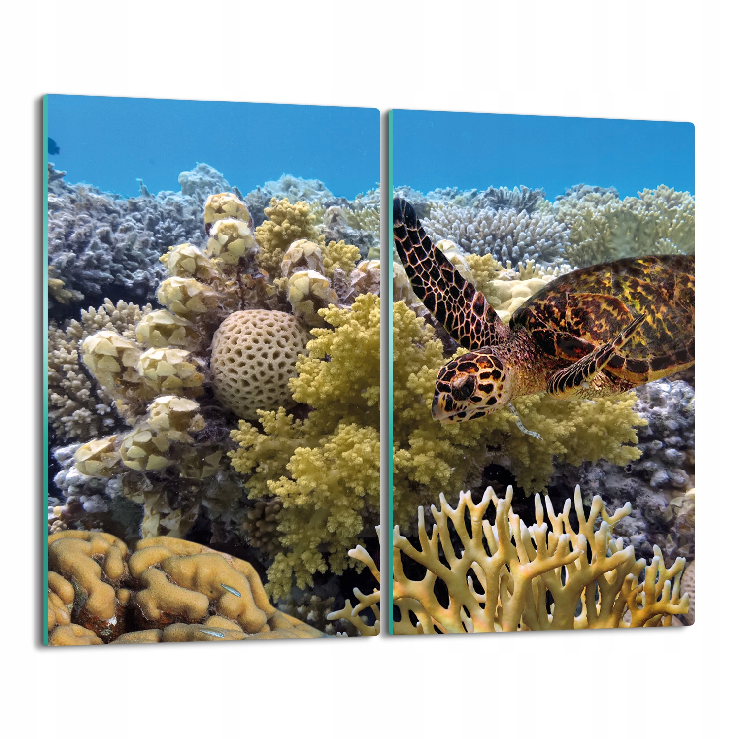 Kryt splashback tisk Želva korálový útes 2x 30x52