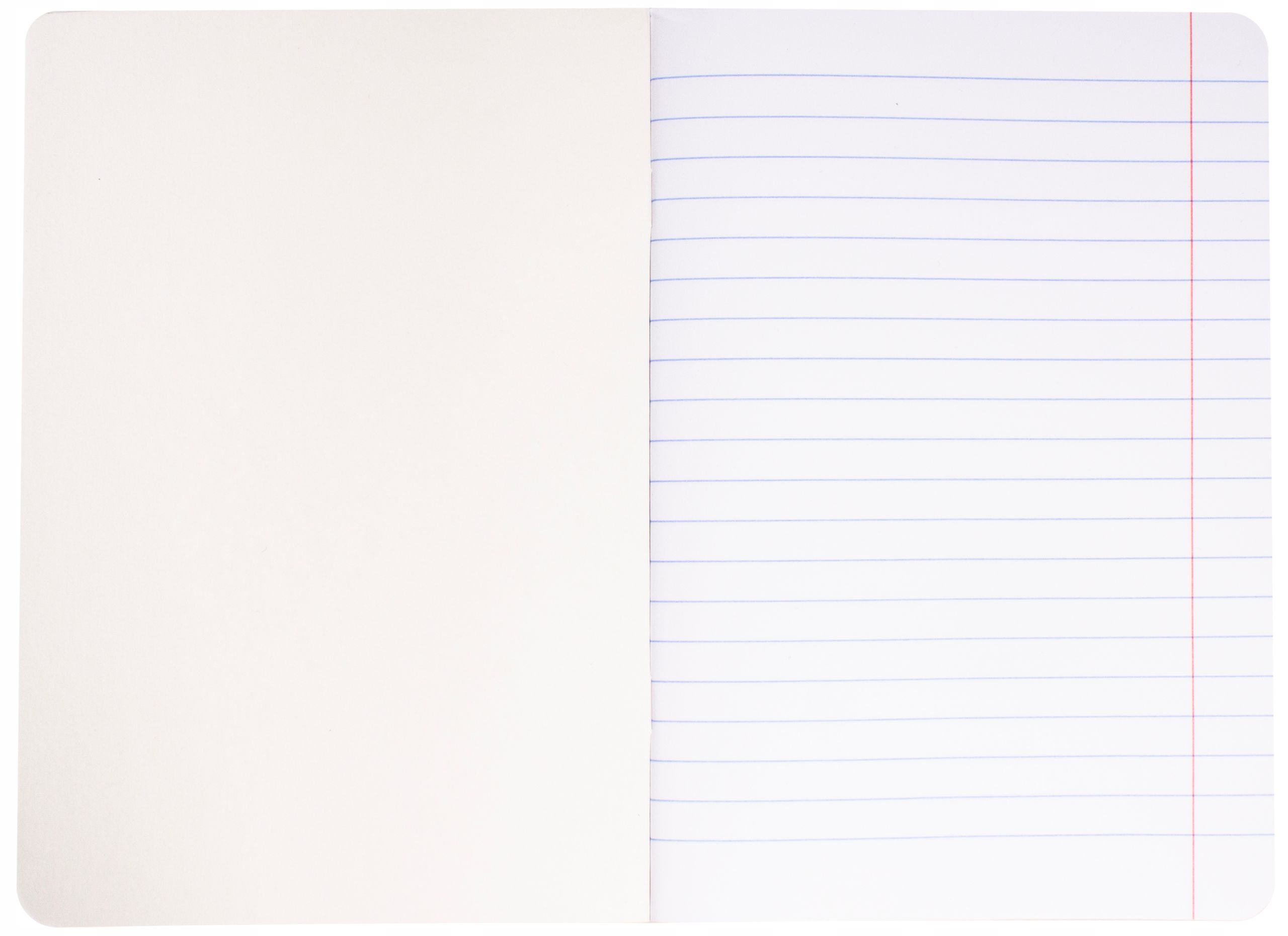 ZESZYT SZKOLNY W LINIE VIBE FORMAT A5/60K REXUS Format A5