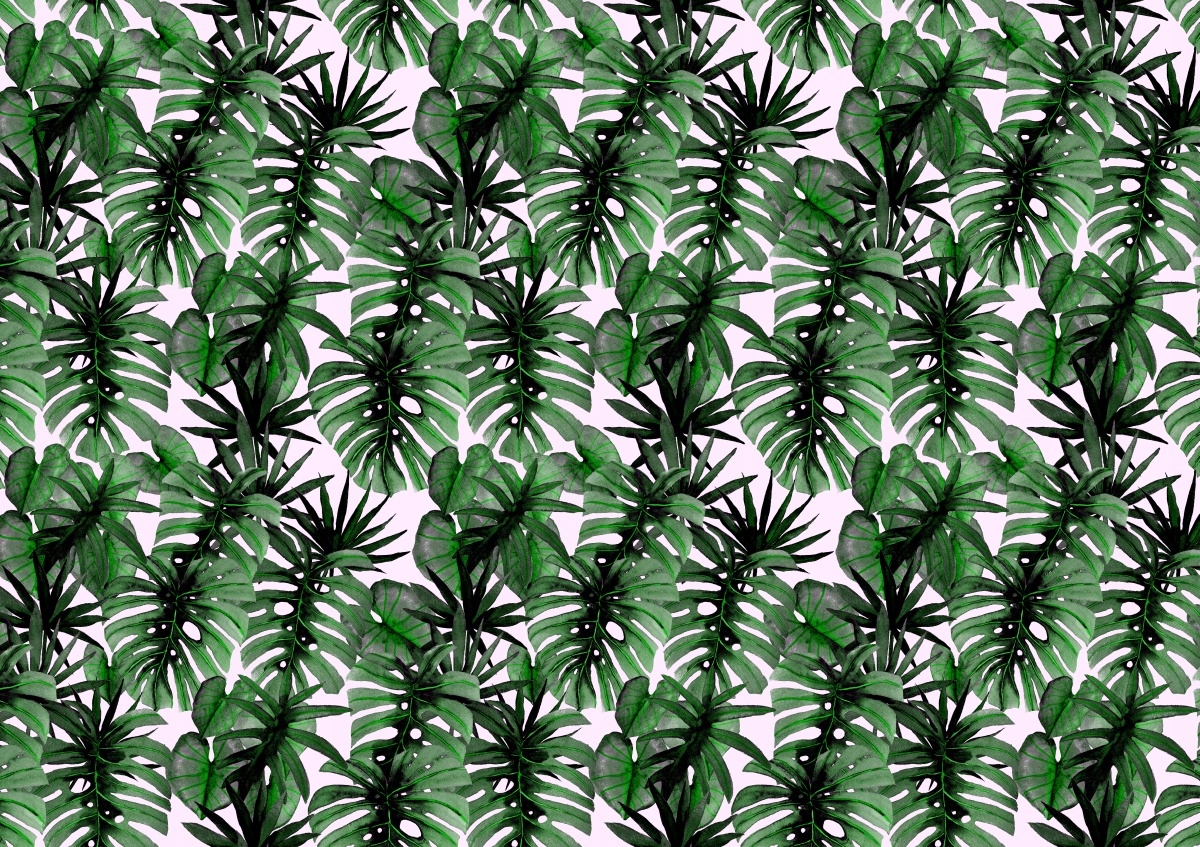 

Fototapeta Flizelinowa Tropikalne liście 312x219