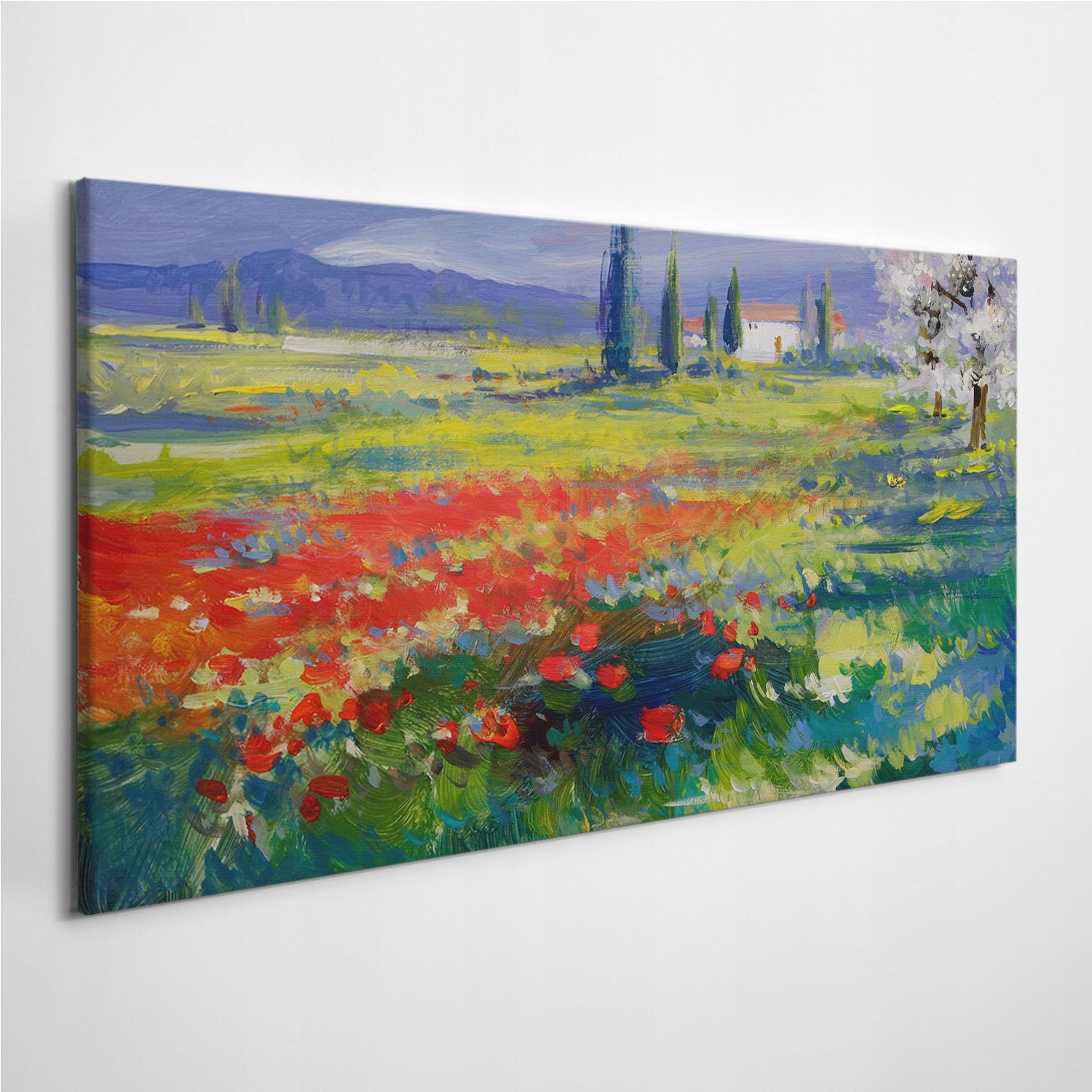 

Fotoobraz na ścianę Natura Łąka Krajobraz 120x60