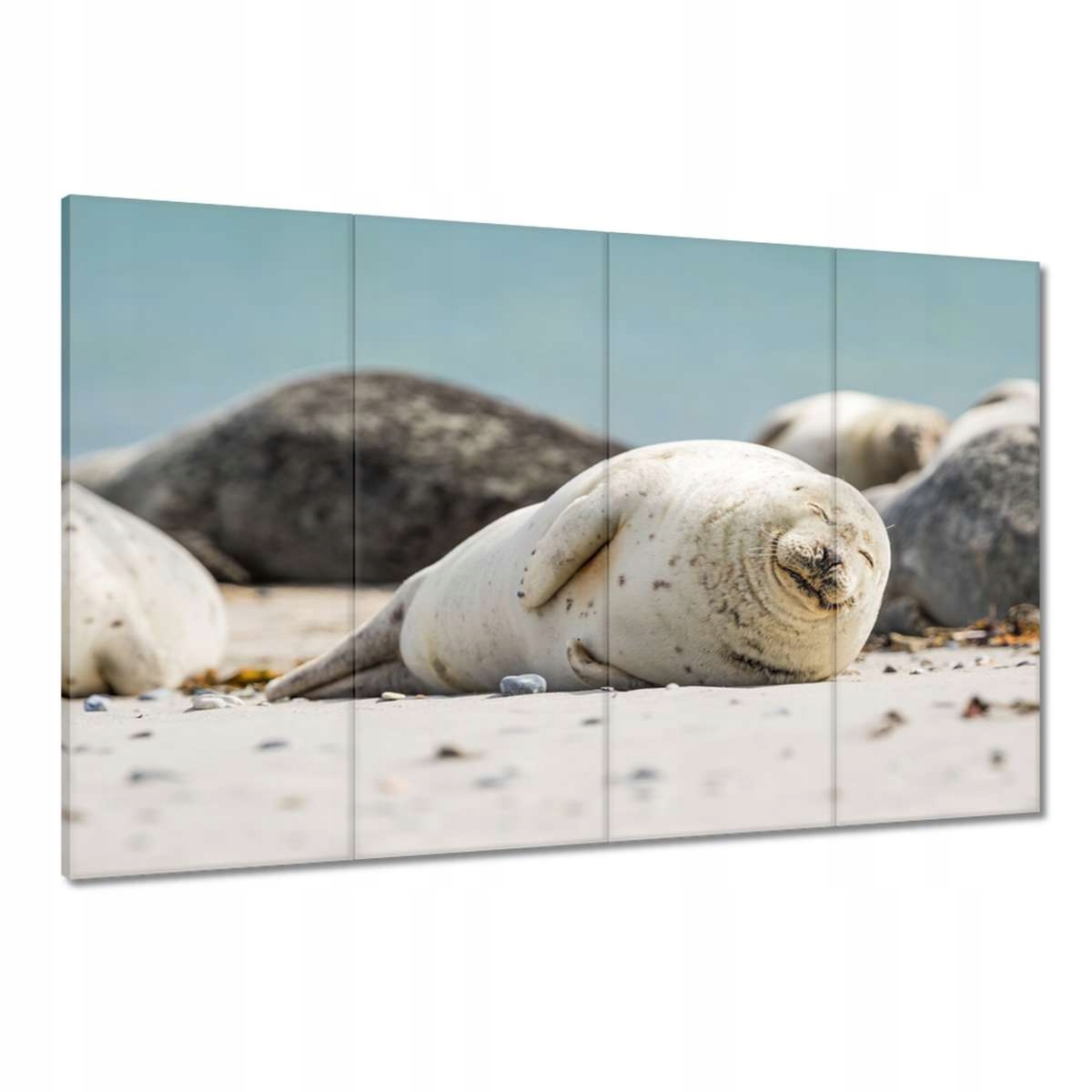 Obrazy 120x80 Zvířata Zvířátka