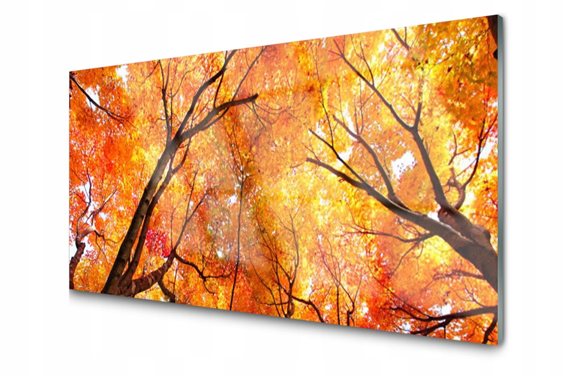 

Panel szklany dekor Drzewa Jesień Złote 100x50