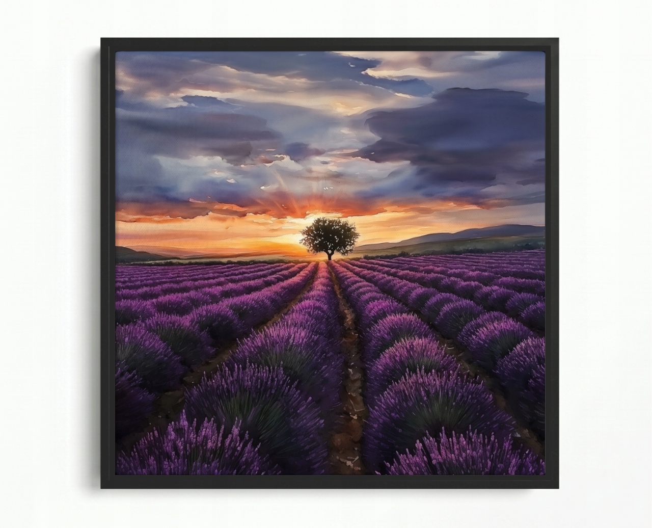 Obraz Rám Americký Box Pole Levandule Západ Slunce Provence 40x40