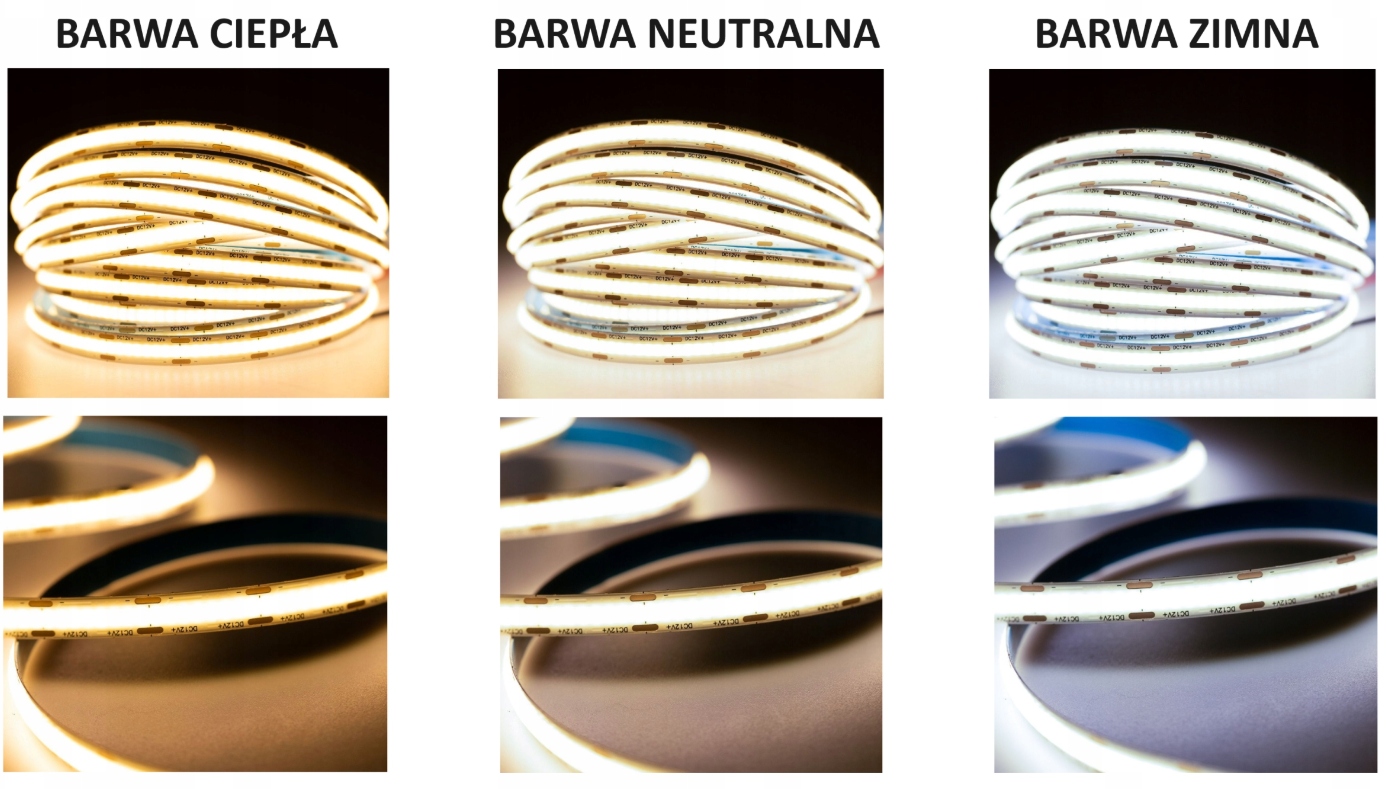 d9b5f8b14d6cb2ee0f285c7c4a7a