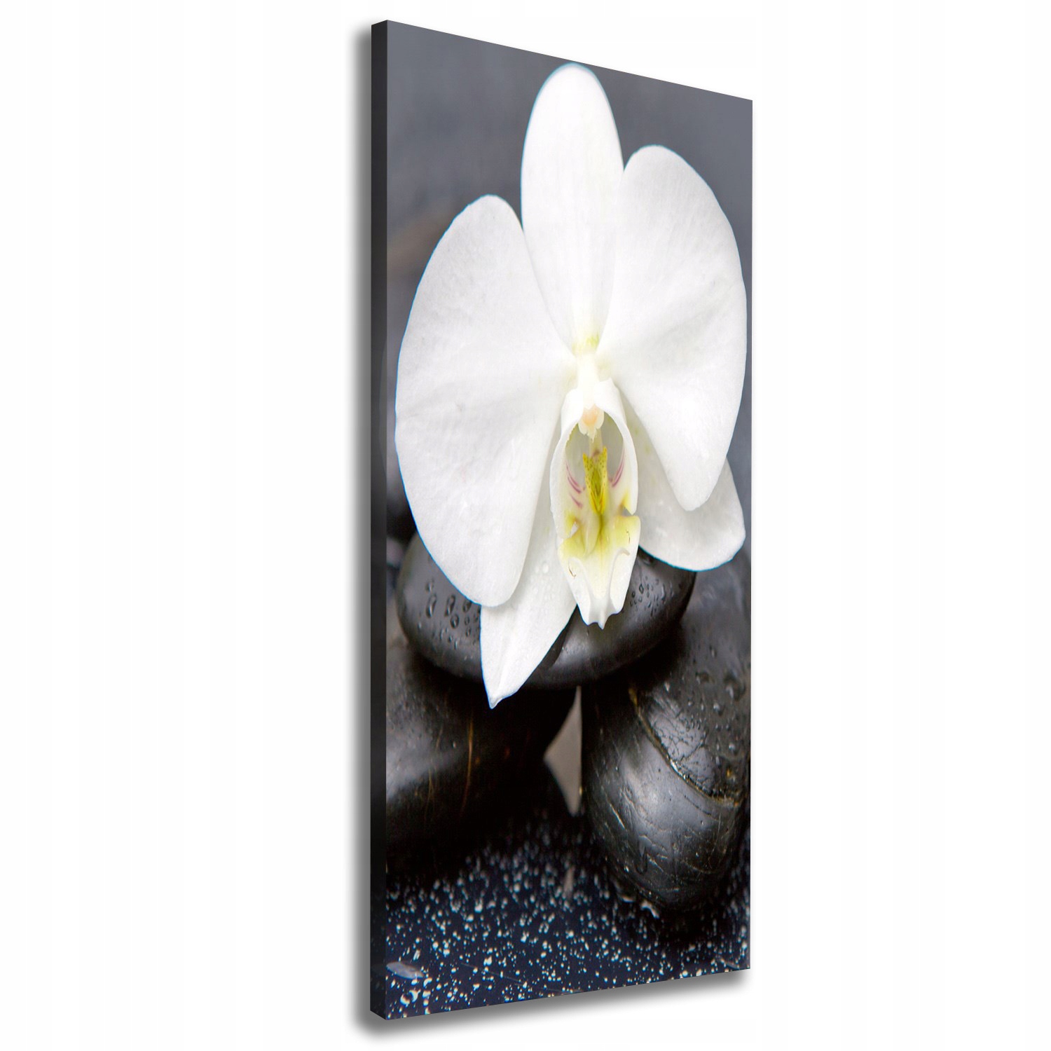 Foto obraz na plátně Orchidej a kameny 50x125 cm