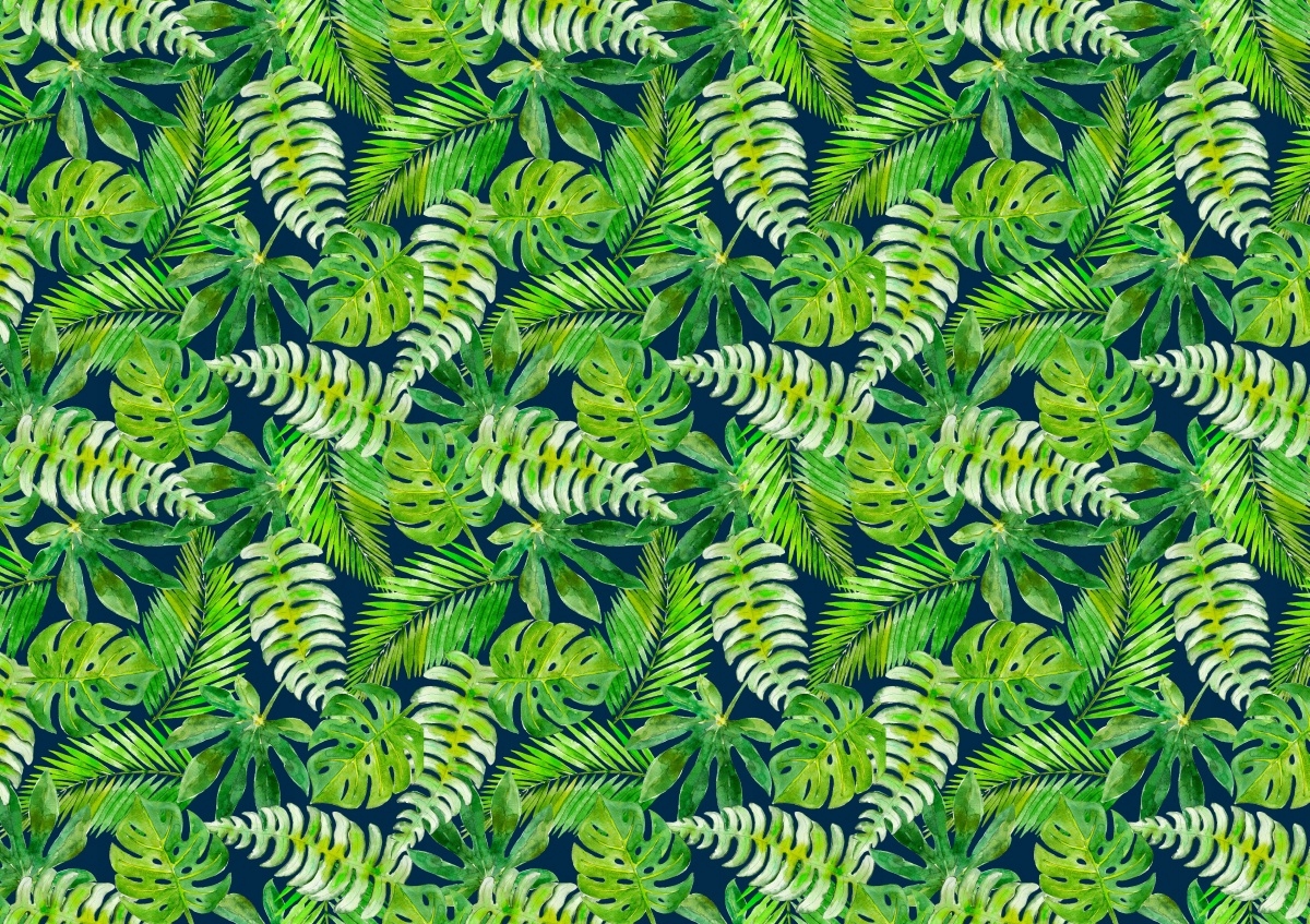

Tapeta Flizelinowa Tropikalne liście - 312x219