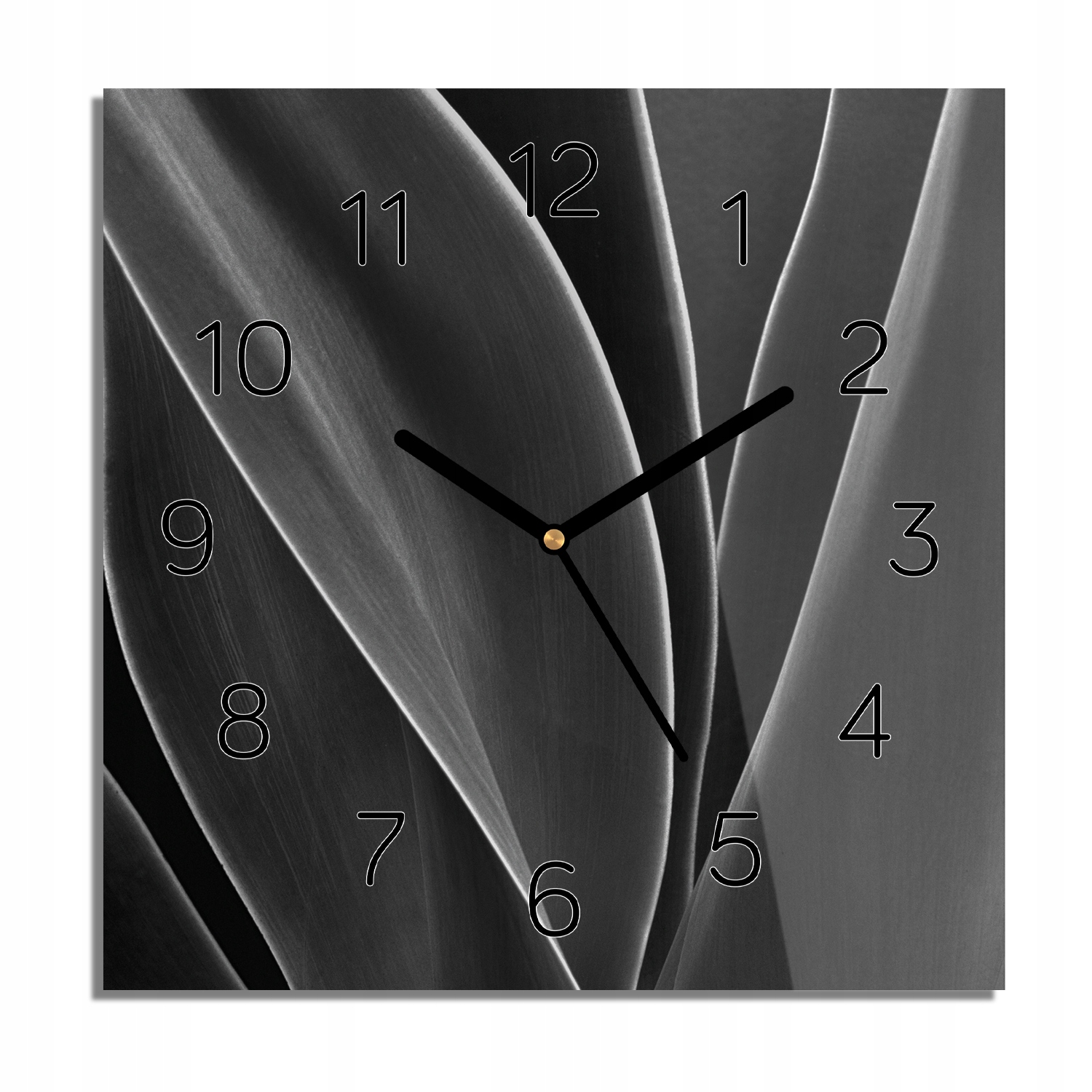 Agáve listy linie foto-hodiny čtvercové 30x30