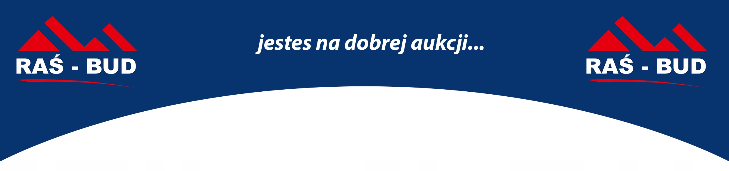 PROGRAMATOR WŁĄCZNIK WYŁĄCZNIK CZASOWY TIMER Model TS-EF201