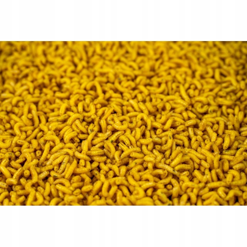 ŻYWA PRZYNĘTA ANGIELSKI ROBAK BIAŁY ŻÓŁTY 1 L