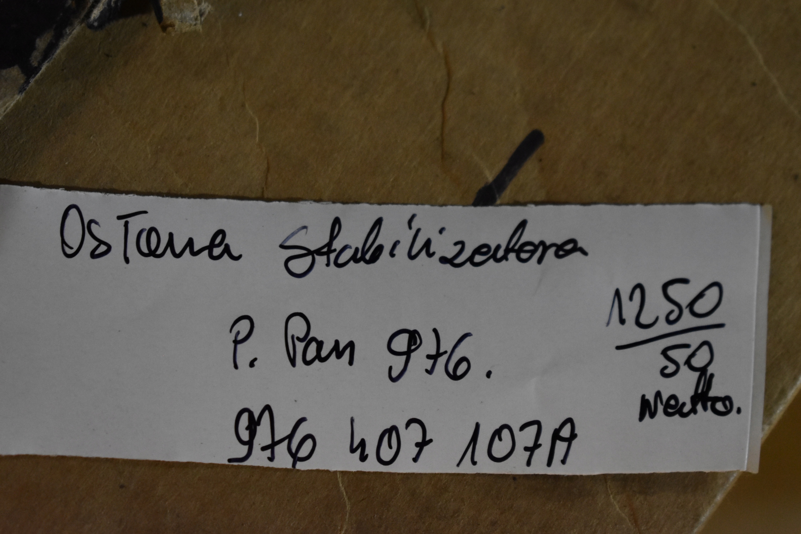 IDEALNA Blende Abdeckung des stabilisators Versteifung PORSCHE PANAMERA 976 9