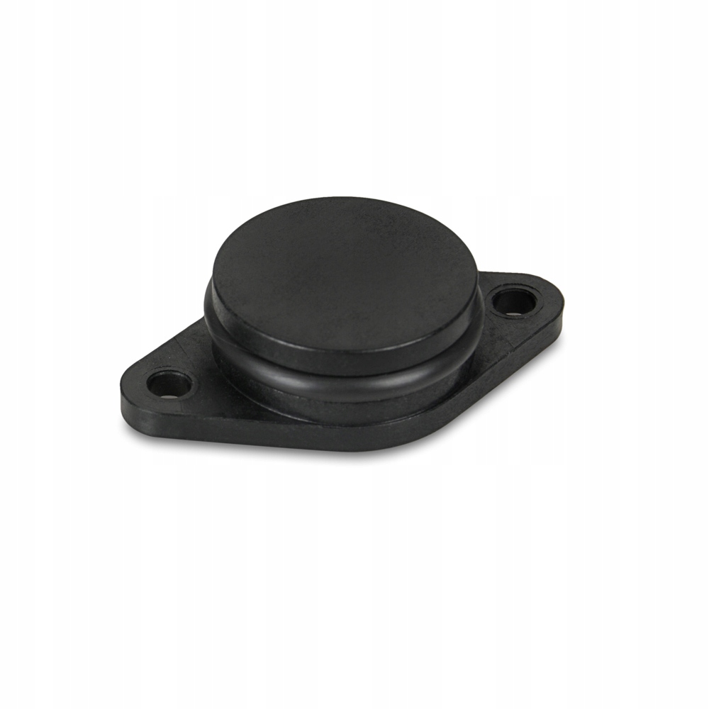 

Bmw Zaślepka Zaślepki kolektora ssącego 33 mm