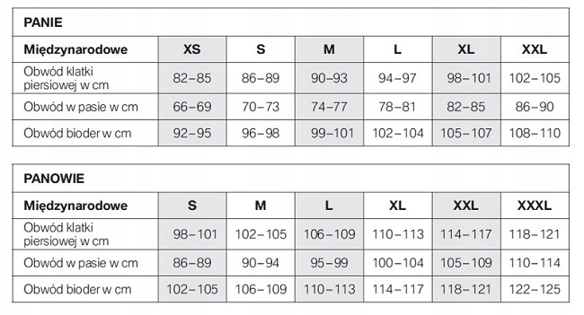 Oryginalna koszulka BMW R 1250 R S Mark Other