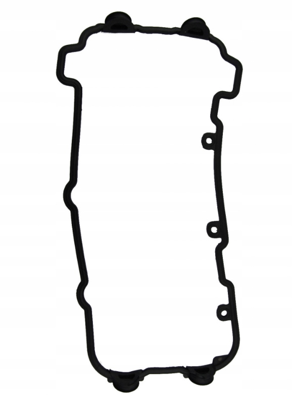 Tesnenie Krytu Ventilu Kapy Oem Triumph Sprint 955 SPRINT955 2002-2004