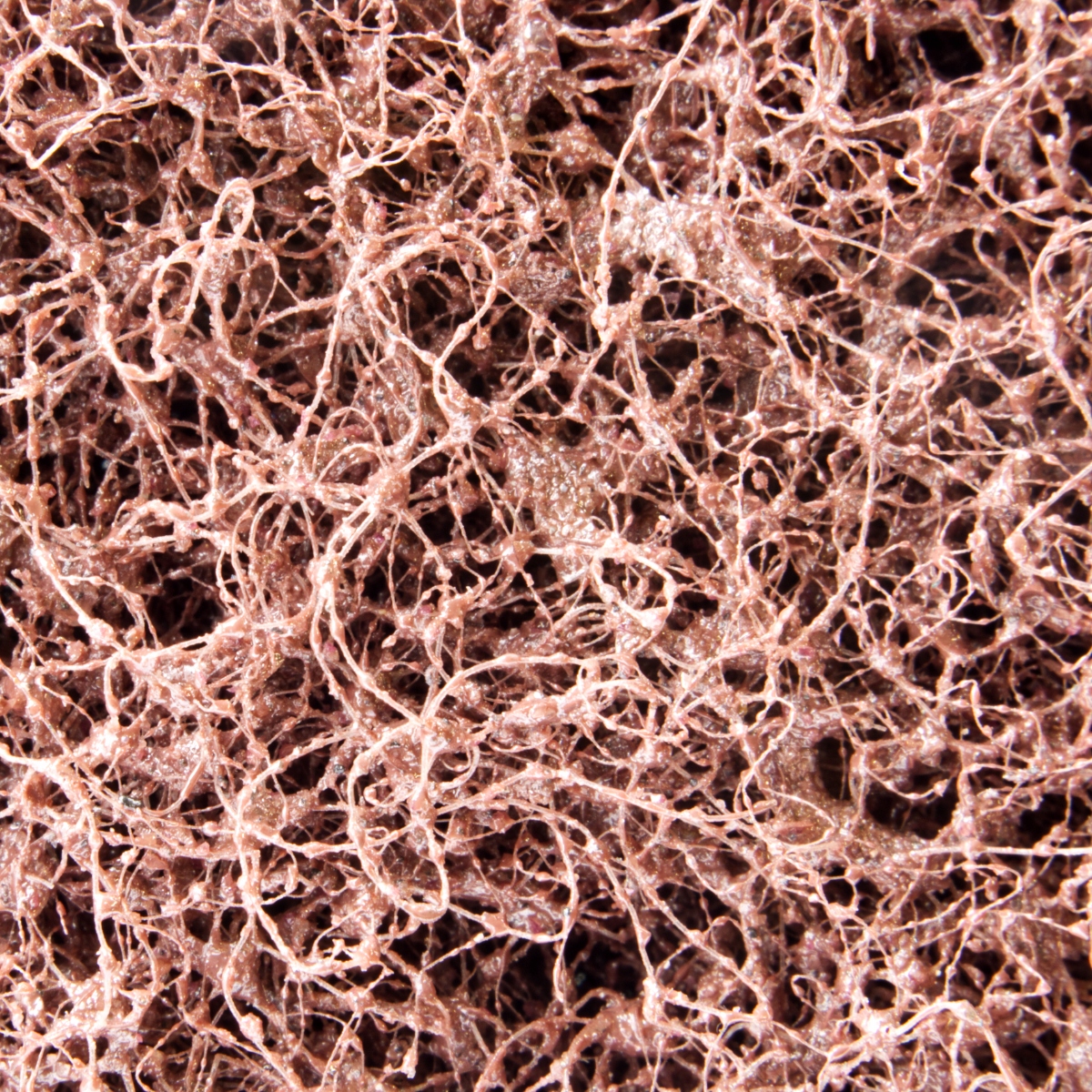 Krążek na rzep z włókniny ściernej 125mm P80 Marka inny