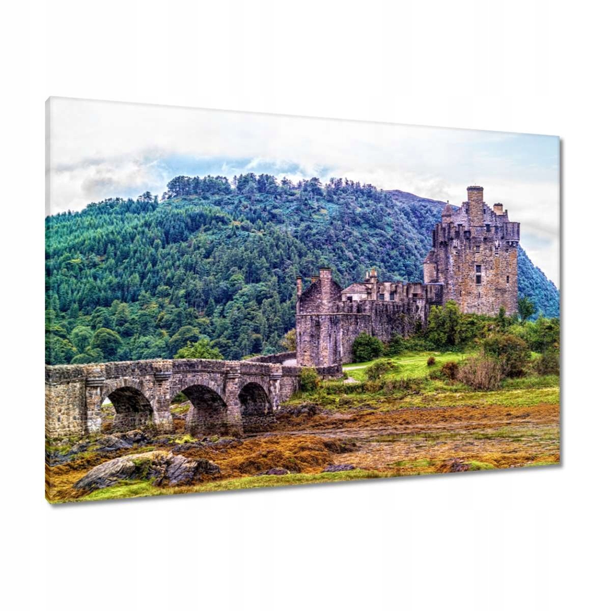 Obrazy 100x70 Starý hrad Kopec Les