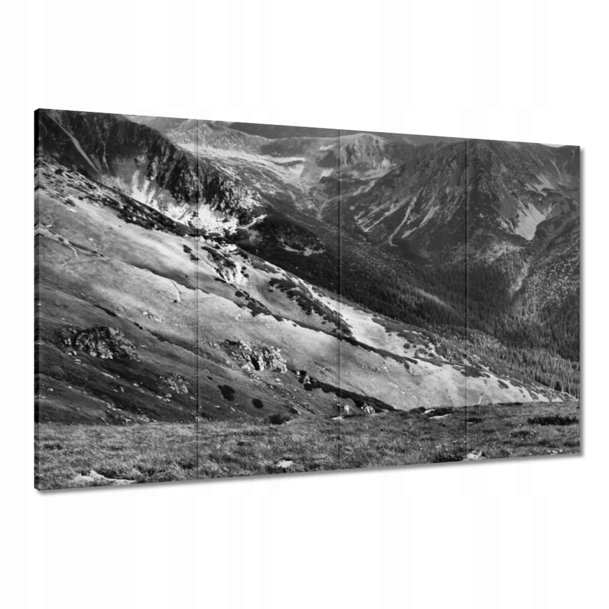 Obrazy 120x80 Tatry Polské hory Pohled