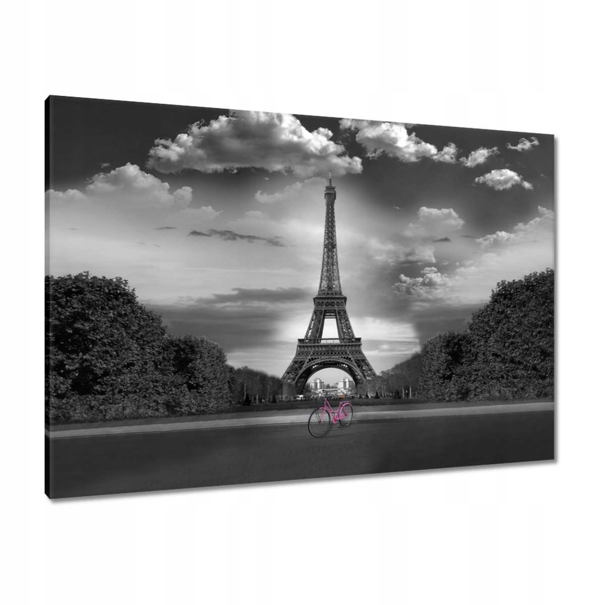 Obrazy 100x70 Kolo před Eiffelovou věží