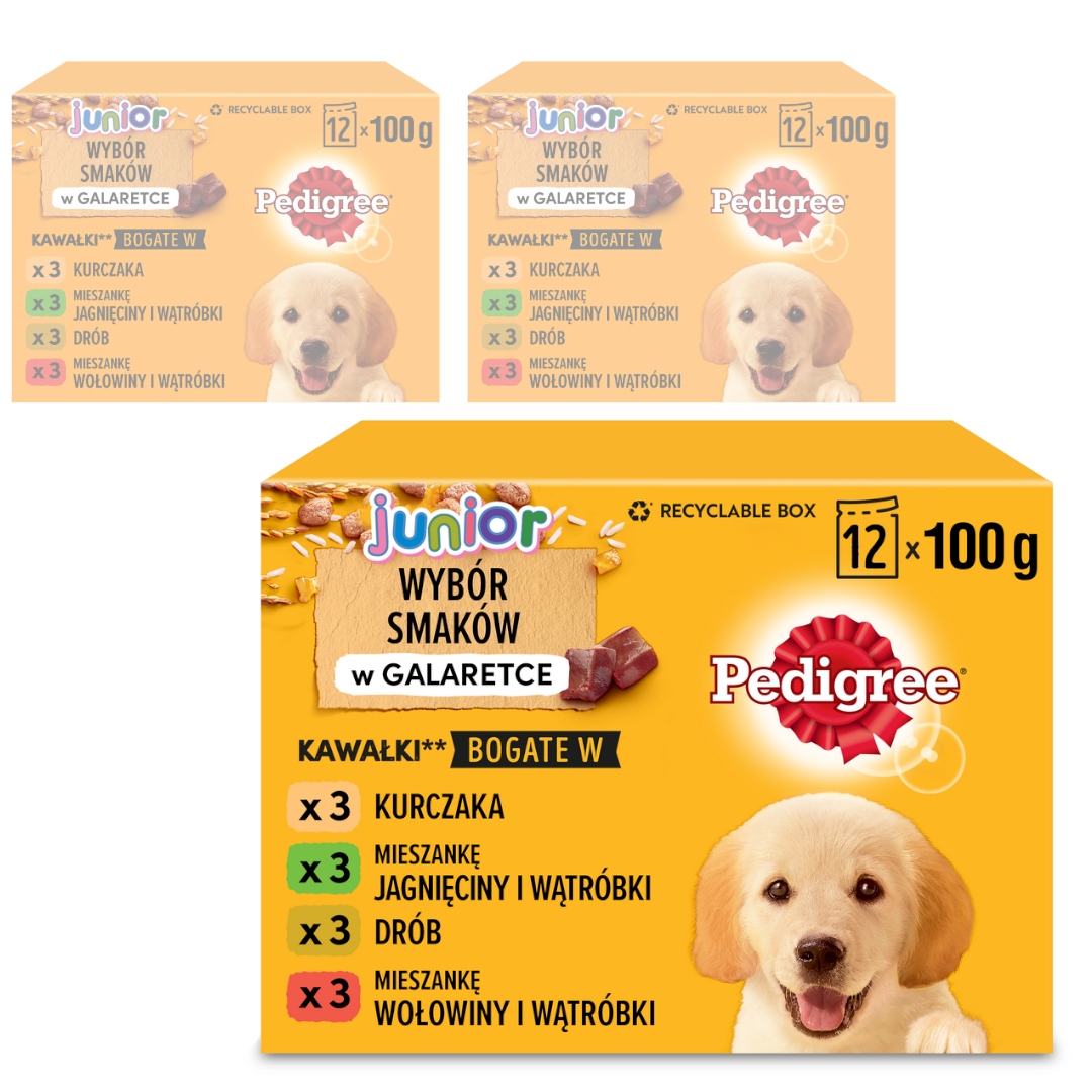 Levně Pedigree Junior Výběr Příchutí V Želé Vlhké Krmivo Pro Psa 36x100g