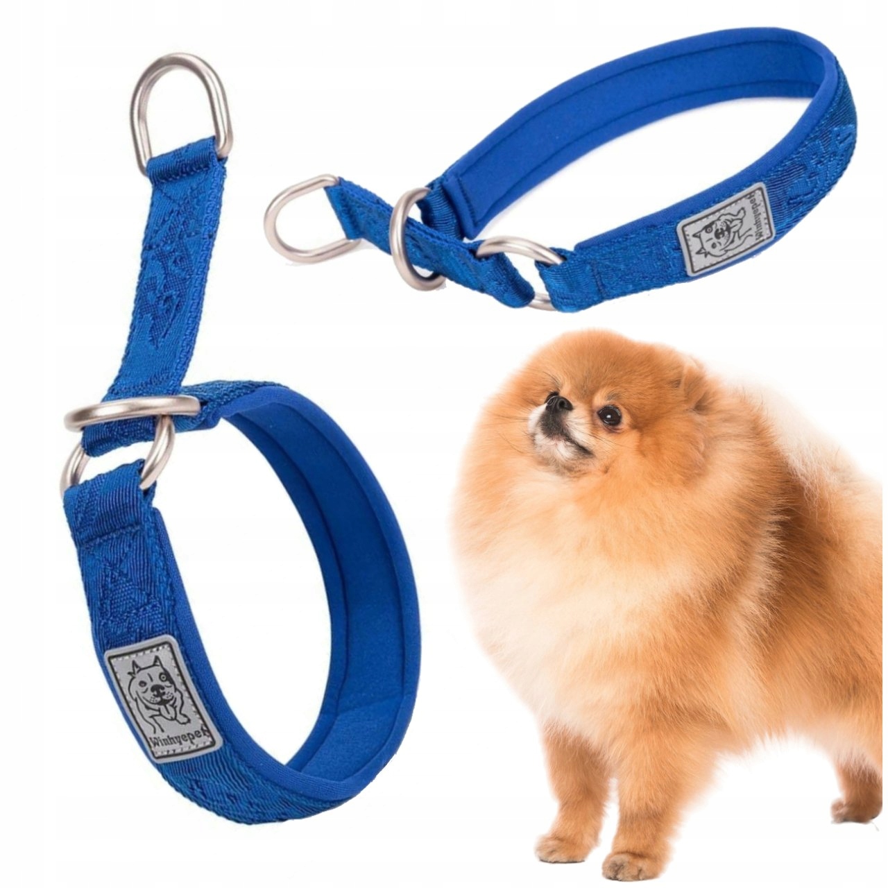 Levně Obojek Pro Psa Polostahovací Pevný Winhyepet Komfortní Modrý Xxs