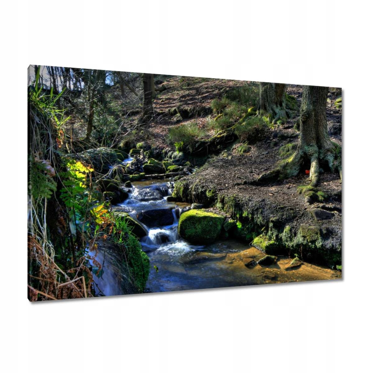 Obrazy 120x80 Horský potůček