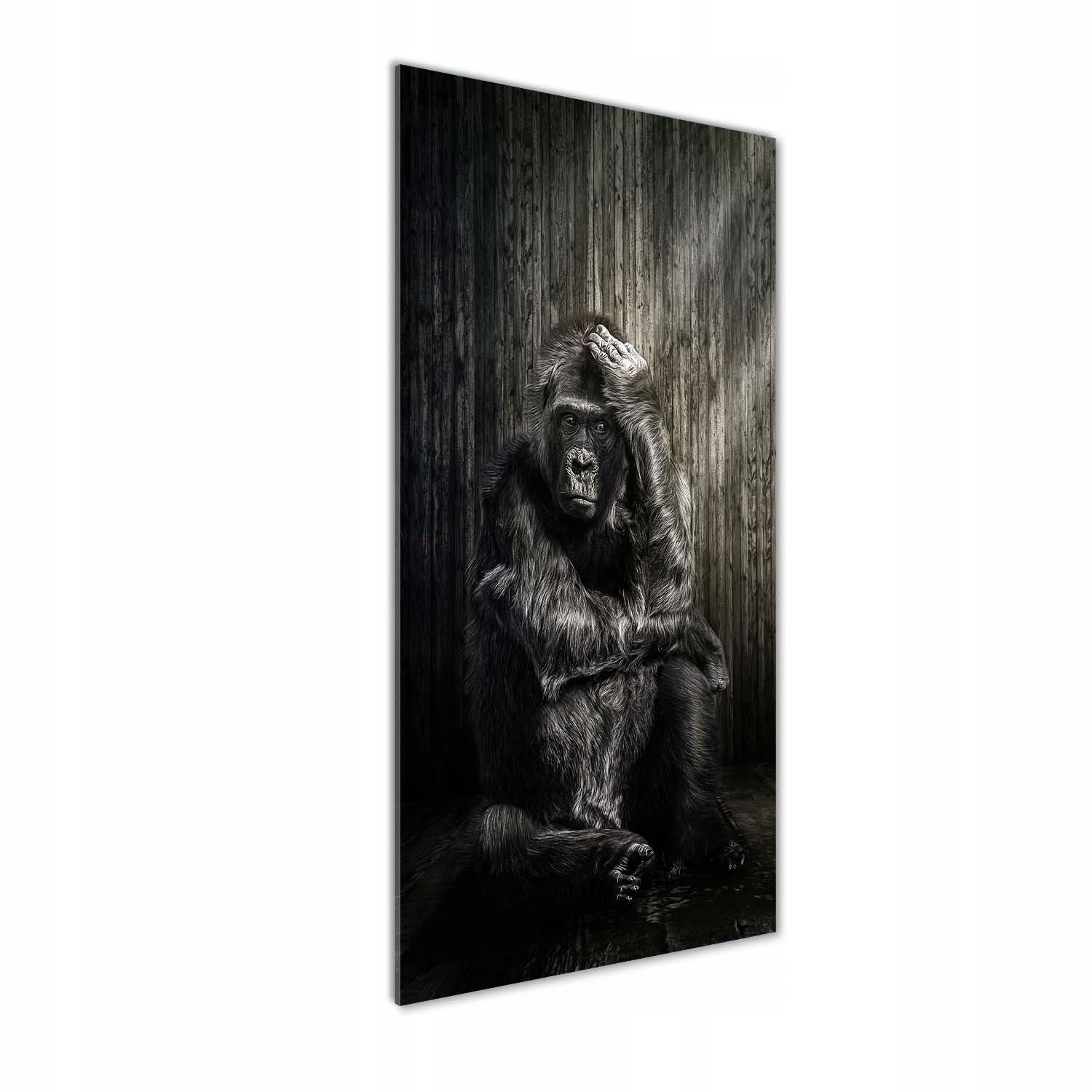 

Fotoobraz szklany na ścianę do salonu Goryl 50x125