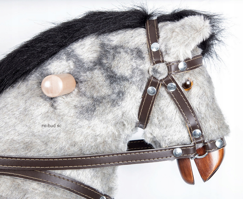 KOŃ NA BIEGUNACH CEZAR KOŃ BUJANY SIWY Z RŻENIEM