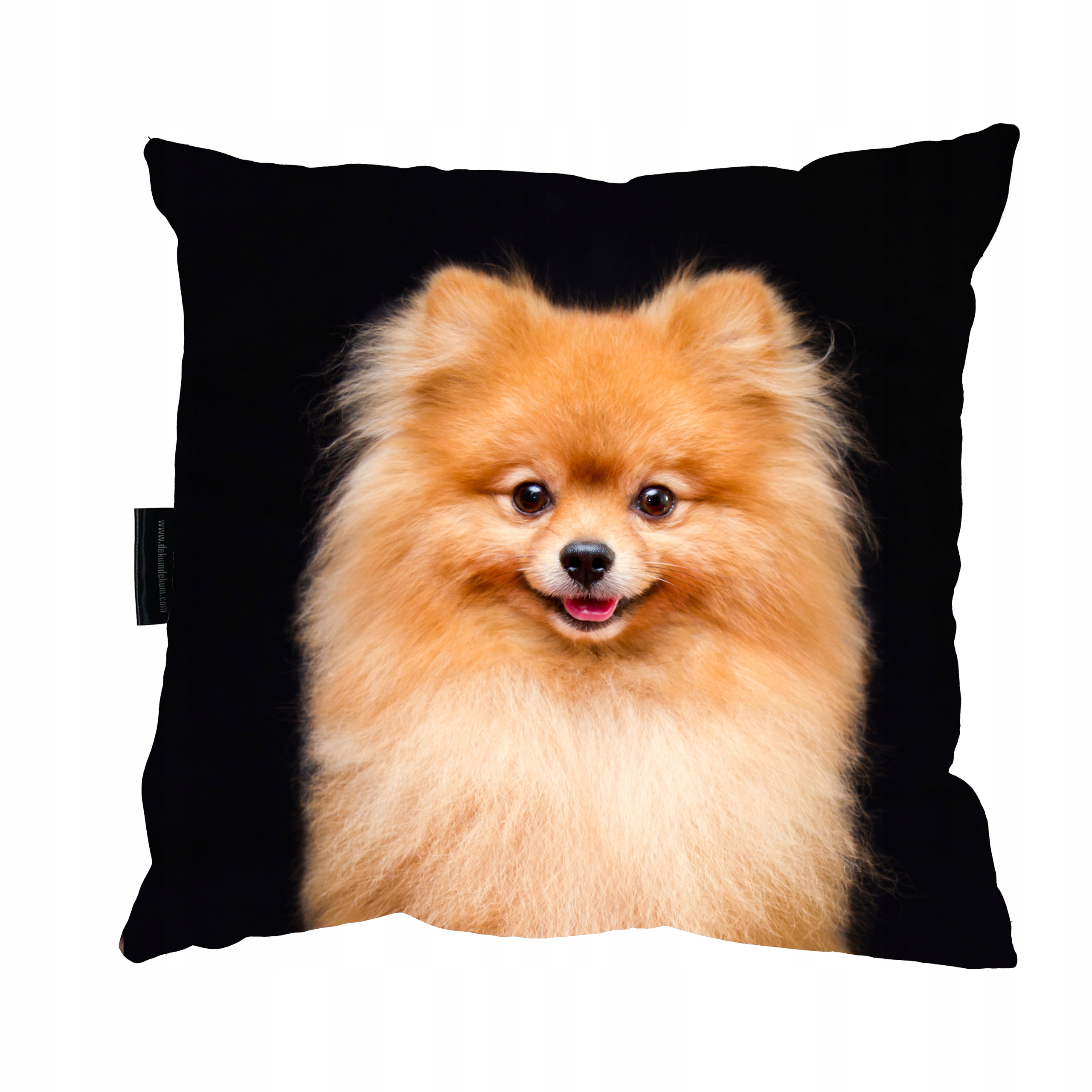 

Poduszka z psem Pomeranian 40x40 idealna