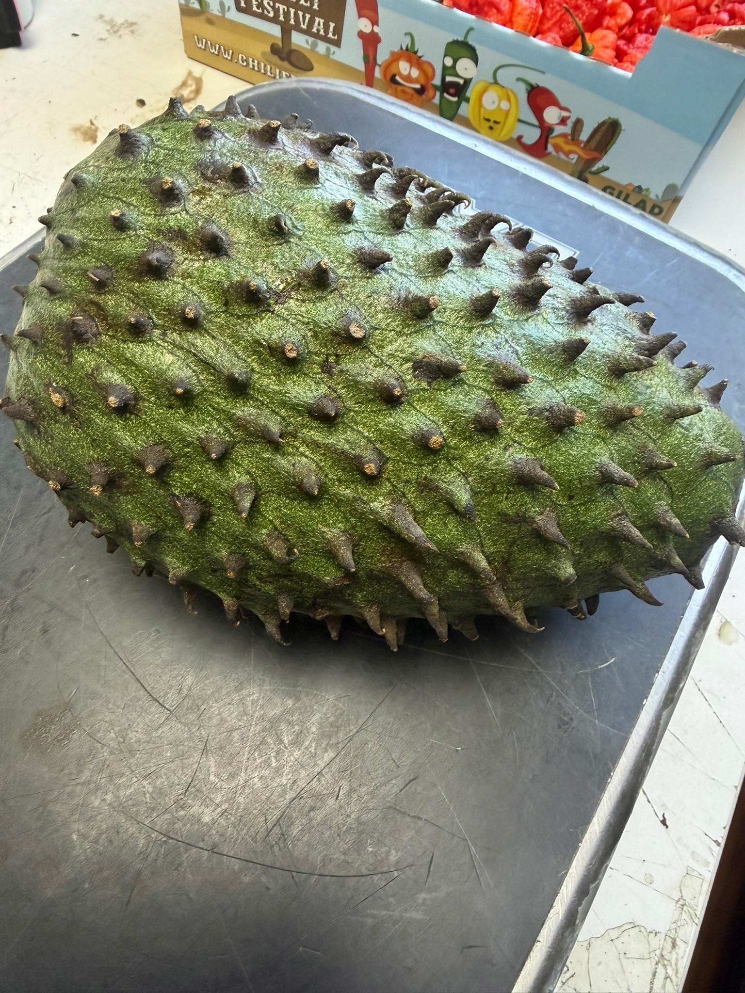 Čerstvá Graviola, Guanabana 1 kus