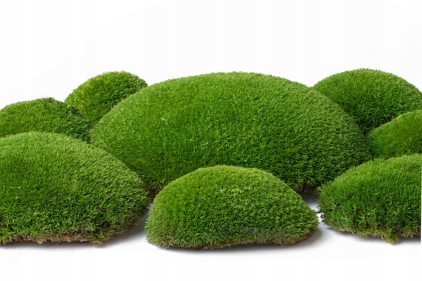 KOMPOZYCJA Z MCHU Szerokość produktu 19 cm