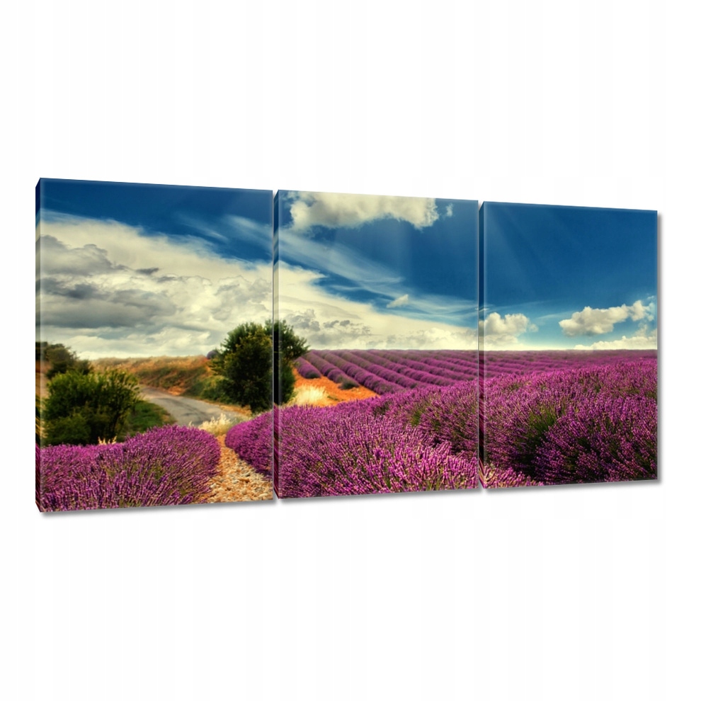 Obraz 180x90 Levanduľové pole