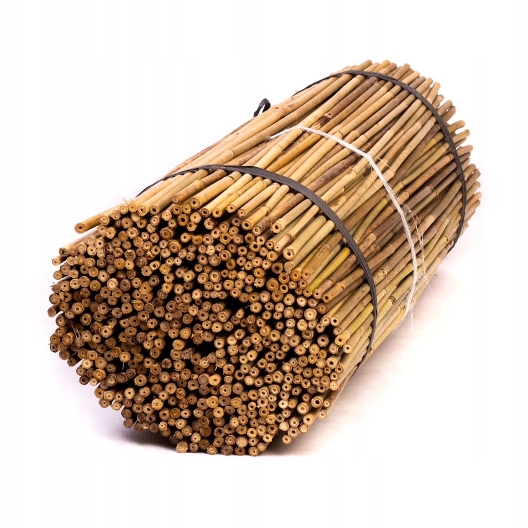 

Tyczki bambusowe 75cm 8/10mm 50 sztuk