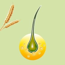 PRIORIN KAPSLE DOPLNĚK STRAVY PRO RŮST VLASŮ 120 KUSŮ Podoba tobolky