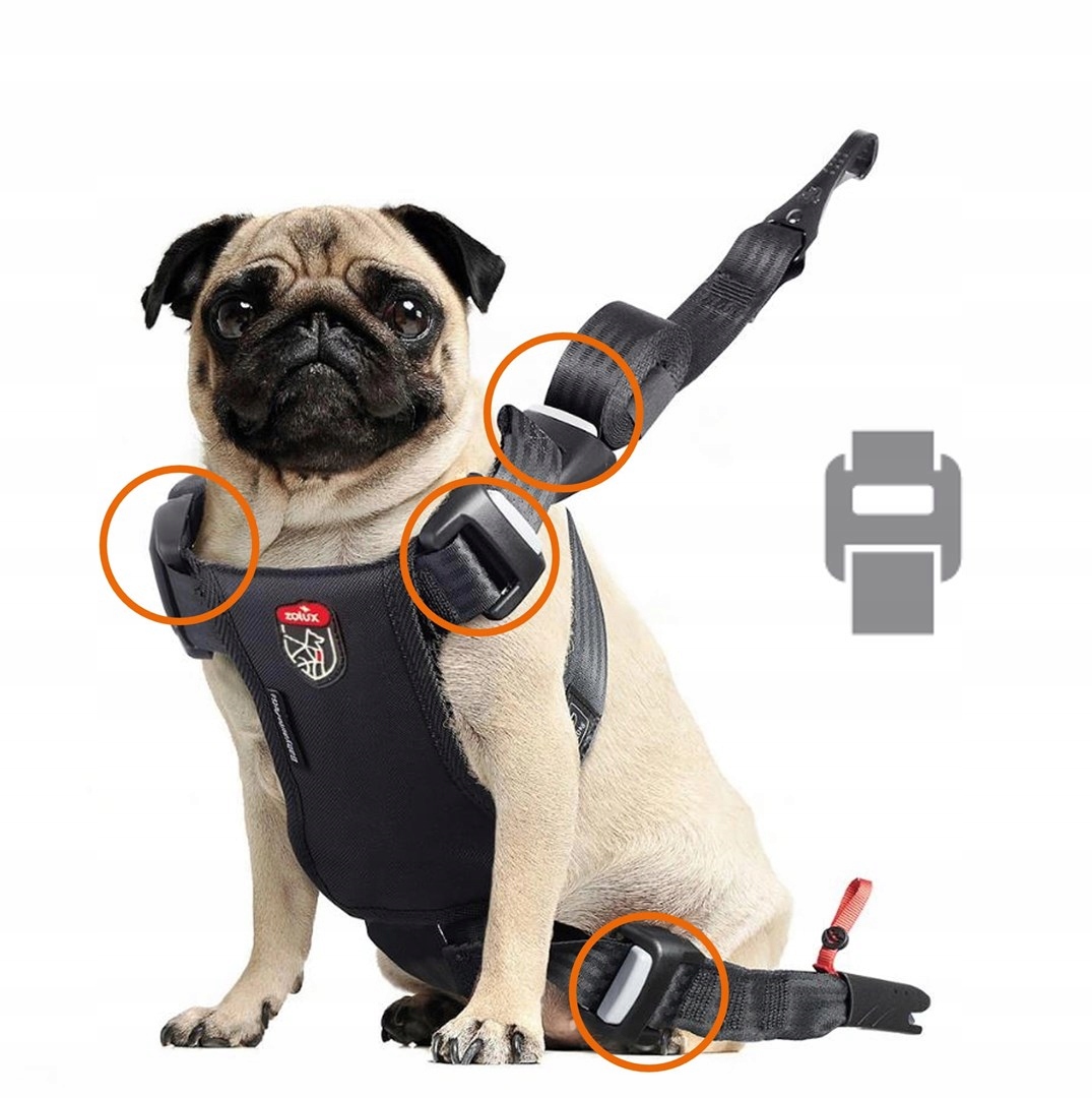 Zolux Postroj pro psa Travel Safe S červený