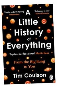 A Little History Of Everything Wer. Angielska Tim Coulson