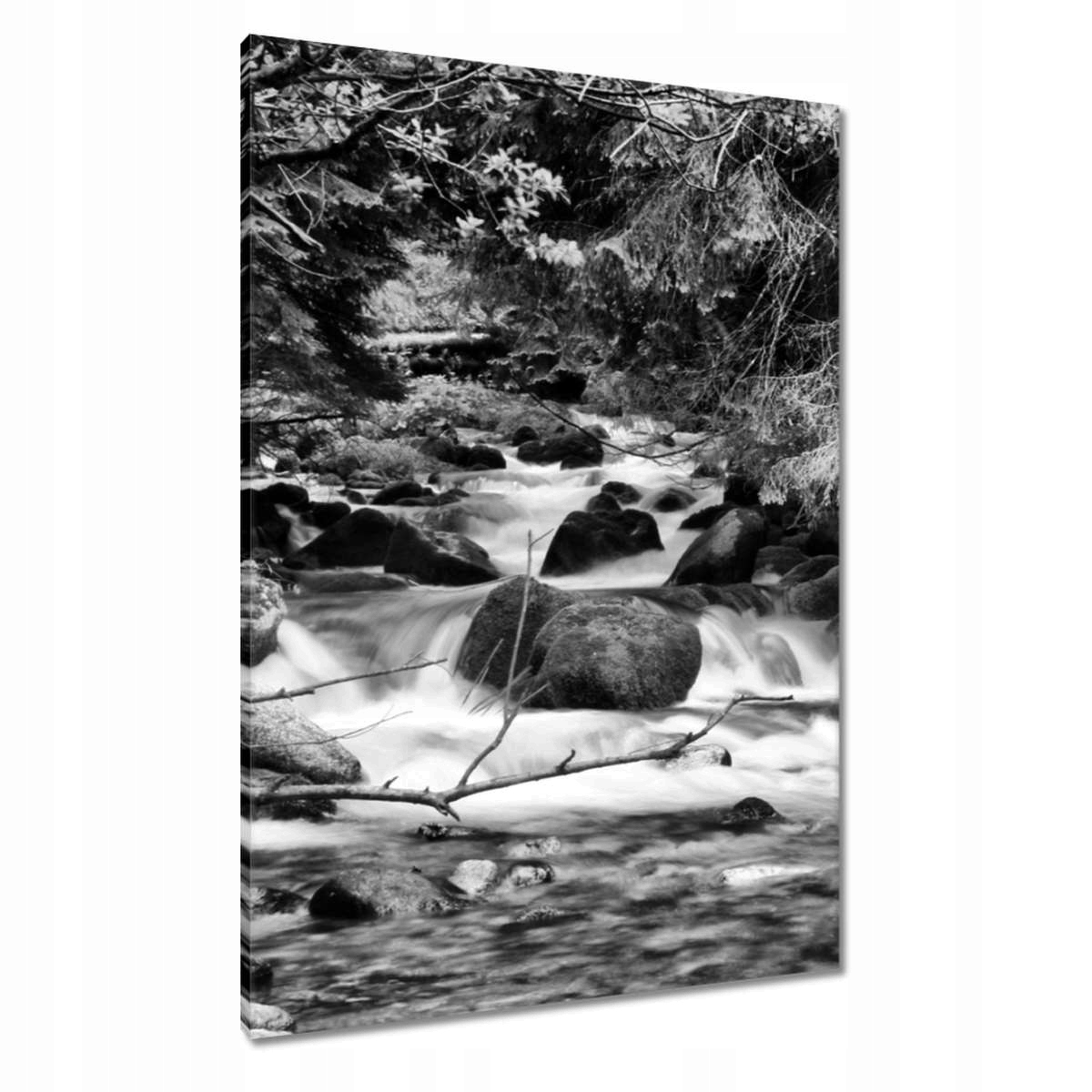 Obrazy 70x100 Tatry Polské hory Pohled