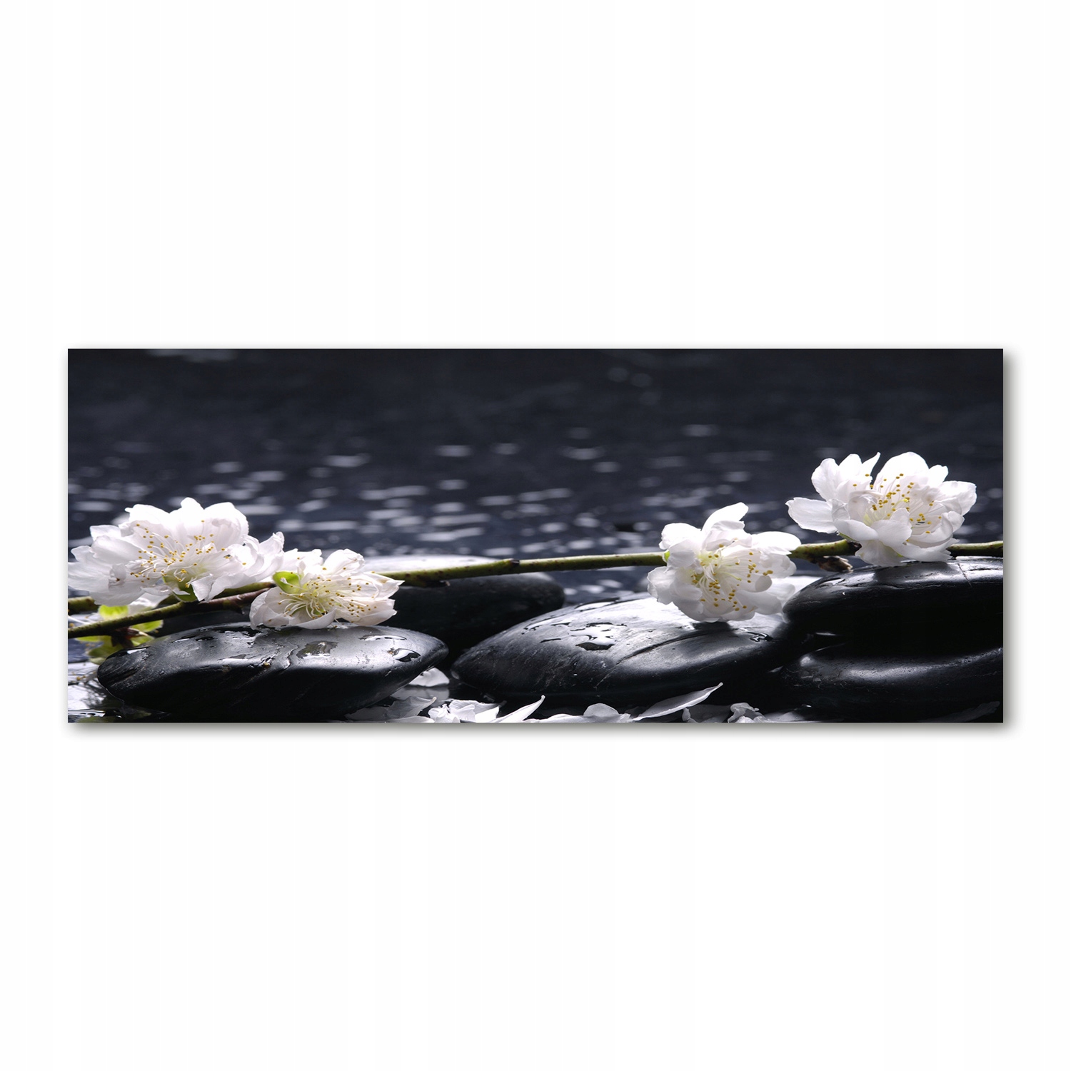 

Foto obraz akryl nowoczesny Kwiat wiśni 125x50cm