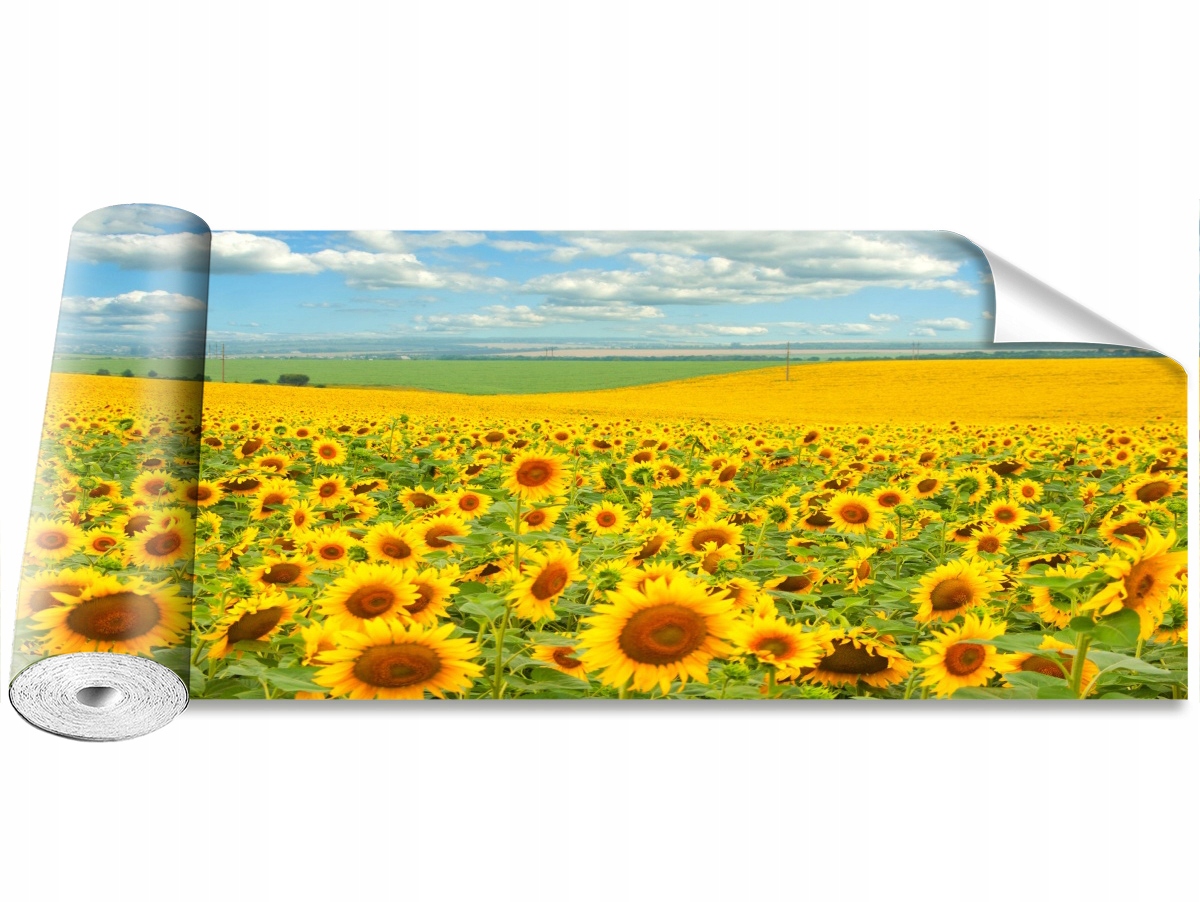 

Tapeta Samoprzylepna Pole słoneczników - 250x104
