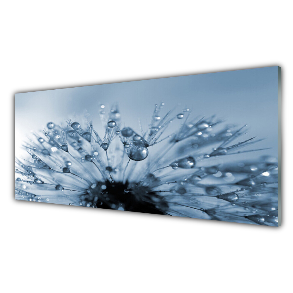 

Obraz z nadrukiem 125x50 Dmuchawiec Kwiat Krople