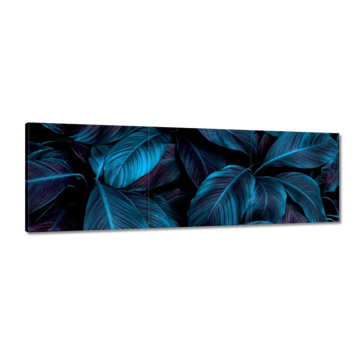 Obrazy 150x50 Krásné modré listy