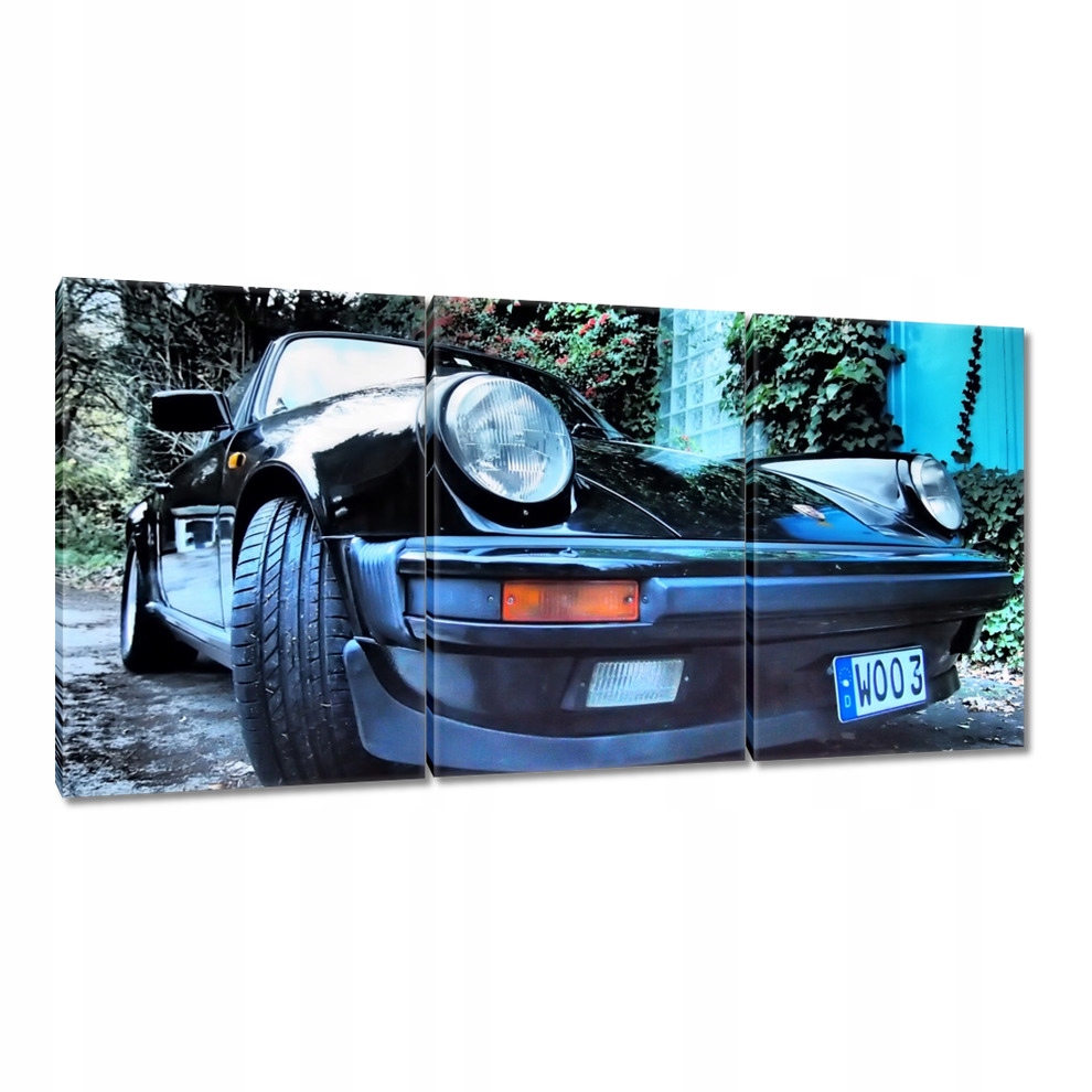 

Obrazy 120x60 Szybkie Porsche Auto