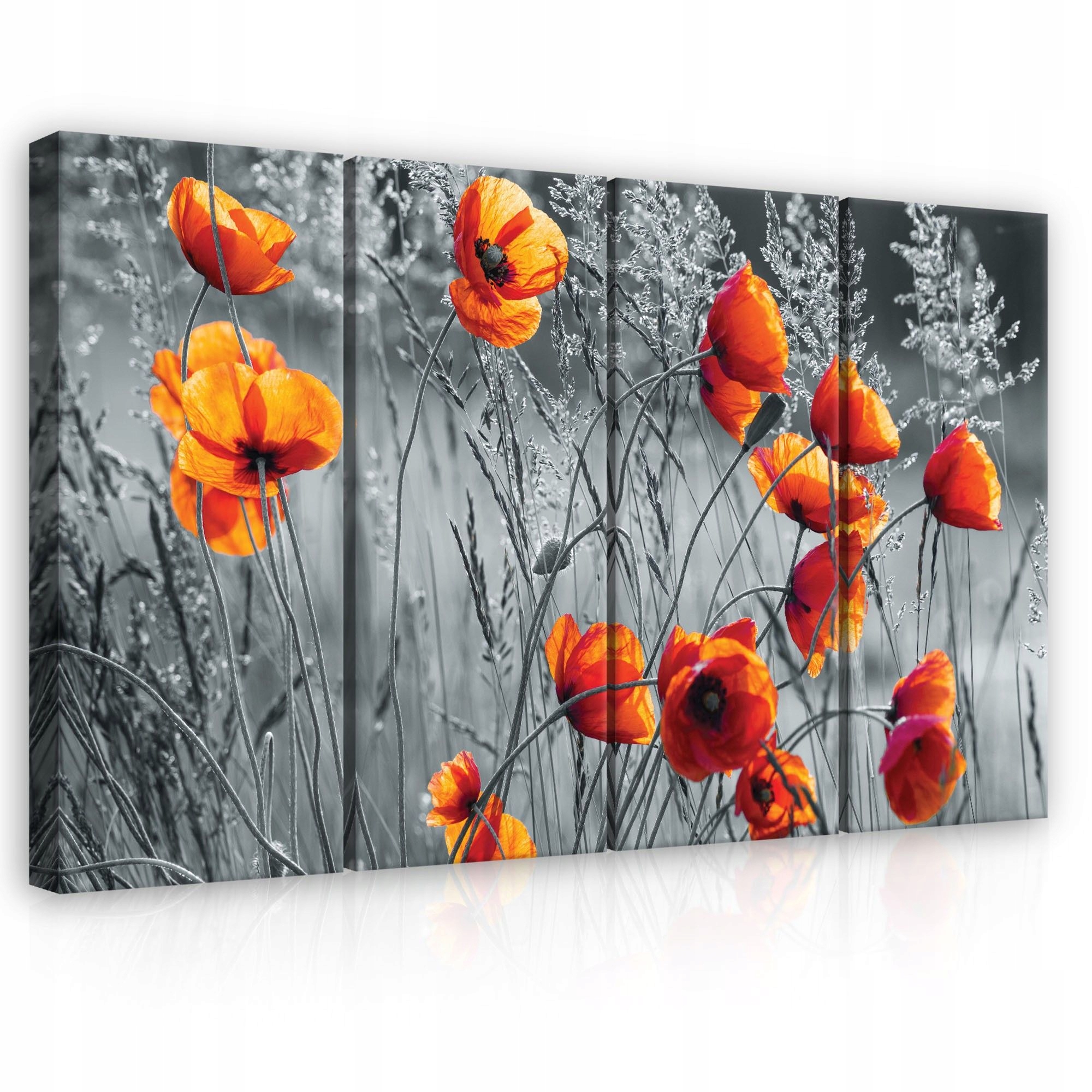 Obraz 120x80 Maky letné pole červený kontrast príroda v dome energia