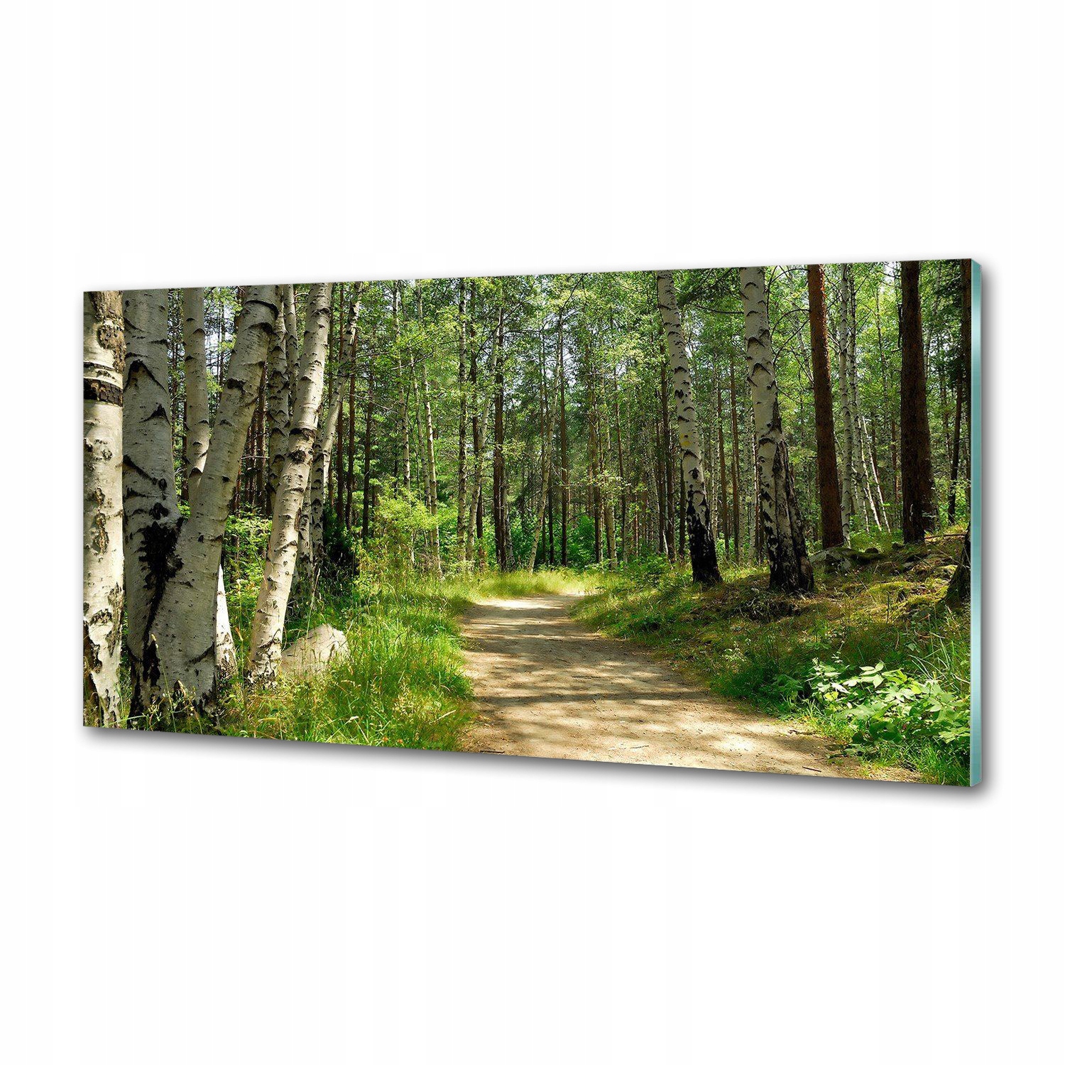 Panel do kuchyne Cesta v lese 100x50 cm Lepidlo