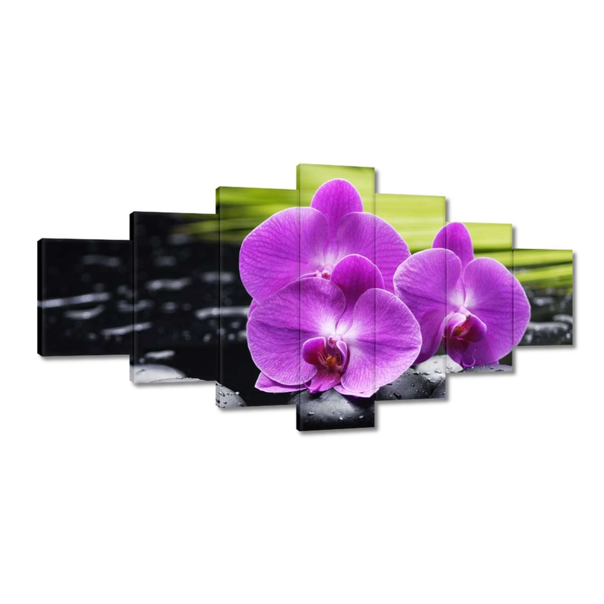 Obrazy 210x100 Orchidej na kamenech