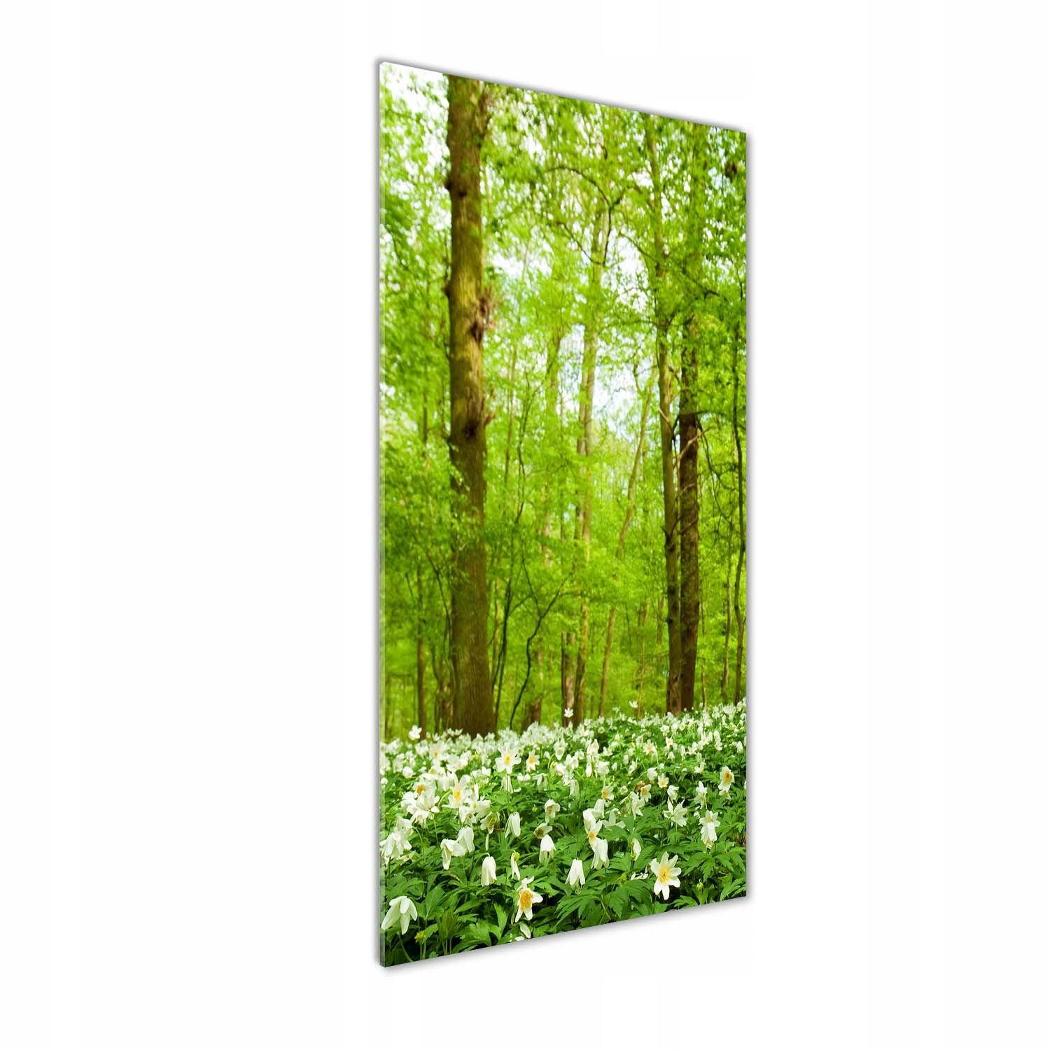 

Foto obraz zdjęcie na szkle Kwiaty w lesie 50x125