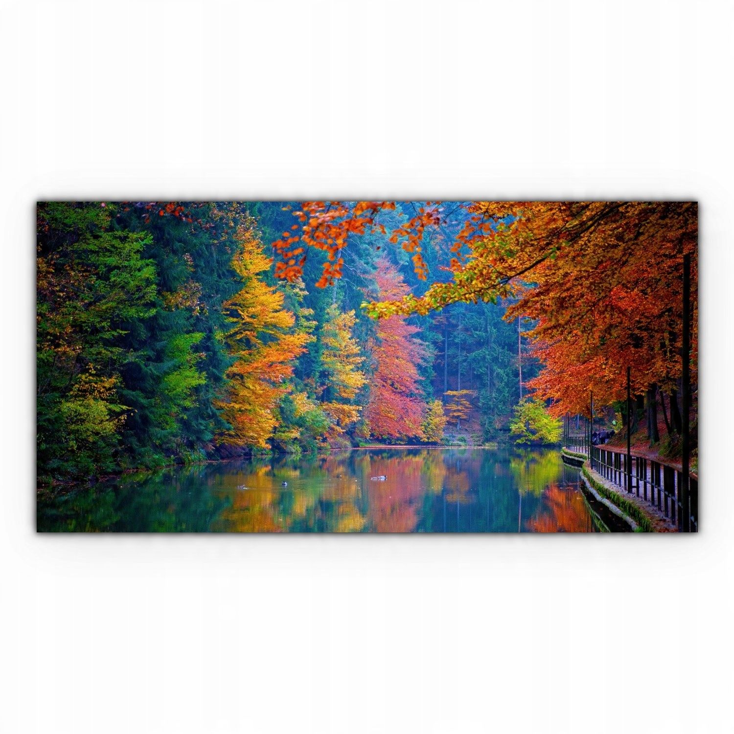 

Canvas na ramie ścienny 140x70 Jesień Las Natura