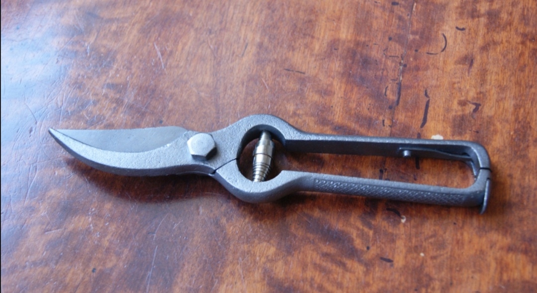 СТАРЫЙ СЕКАТОР ДЛЯ ВЕТОК